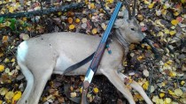 Убийство во время охоты на косулю в татарстане