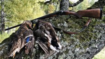 Открытие весенней охоты в Ульяновской области.