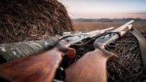 Приостановлена охота в Свердловской области.