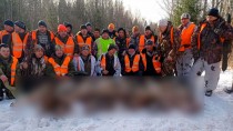 В Тверской области убили 9 волков.