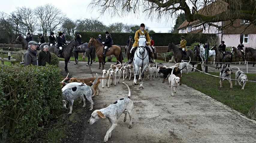 Приготовление к охоте Англия