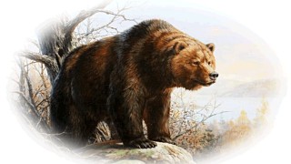 Способы охоты на медведя